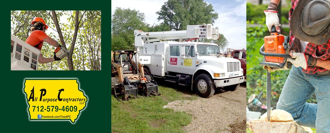 Demolition & Site Cleanup